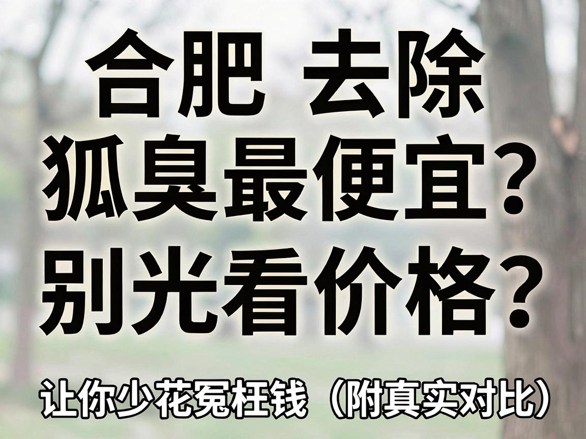 合肥去除狐臭最便宜?别光看价格,这3个因素让你少花冤枉钱(附真实对比) 合肥去除狐臭最便宜?别光看价格,这3个因素让你少花冤枉钱(附真实对比)